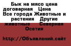 Бык на мясо цена договарная › Цена ­ 300 - Все города Животные и растения » Другие животные   . Северная Осетия